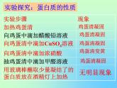 鲁教版九年级下册化学 10.3远离有毒物质 课件