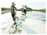 沪教版九下化学 6.5基础实验6 粗盐的初步提纯 课件