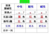 沪教版九下化学 7.2常见的酸和碱 课件