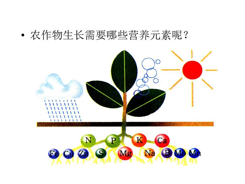 北京课改版九下化学 12.3化学肥料 课件第6页