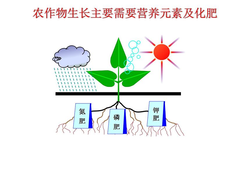 北京课改版九下化学 12.3化学肥料 课件第8页