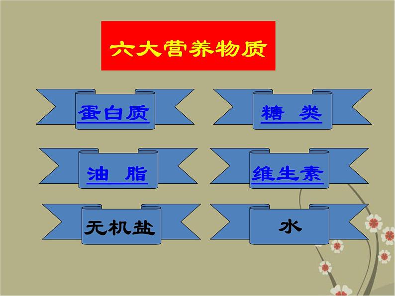 北京课改版九下化学 13.1食物中的营养物质 课件第4页