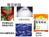 北京课改版九下化学 12.1几种常见的盐 课件