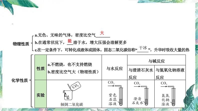 最新中考化学专题复习 专题复习之碳和碳的化合物课件PPT第6页