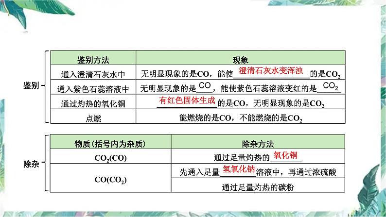 最新中考化学专题复习 专题复习之碳和碳的化合物课件PPT第8页