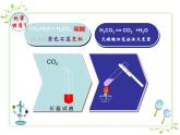 鲁教版（五四制）八年级化学 6.3大自然中的二氧化碳 课件