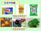 魯教版（五四制）九年級(jí)化學(xué) 2.2堿及其性質(zhì) 課件