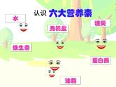 鲁教版（五四制）九年级化学 5.1食物中的有机物 课件