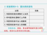 魯教版（五四制）九年級(jí)化學(xué) 5.3遠(yuǎn)離有毒物質(zhì) 課件