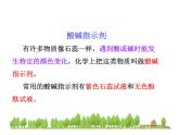 魯教版（五四制）九年級化學(xué) 2.3溶液的酸堿性 課件