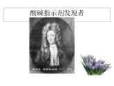 魯教版（五四制）九年級化學(xué) 2.3溶液的酸堿性 課件