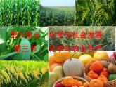 魯教版（五四制）九年級(jí)化學(xué) 6.3化學(xué)與農(nóng)業(yè)生產(chǎn) 課件