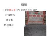魯教版（五四制）九年級(jí)化學(xué) 6.3化學(xué)與農(nóng)業(yè)生產(chǎn) 課件