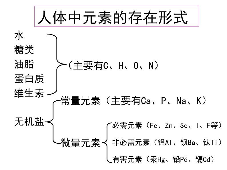 鲁教版（五四制）九年级化学 5.2化学元素与人体健康 课件08