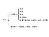 人教版（五四制）九年级化学 4.2 化学肥料 课件