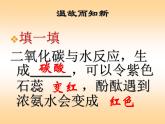人教版（五四制）九年级化学 3.1.2 常见的酸和碱 课件