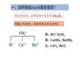 2022年中考化学专题复习探究碱的变质课件PPT