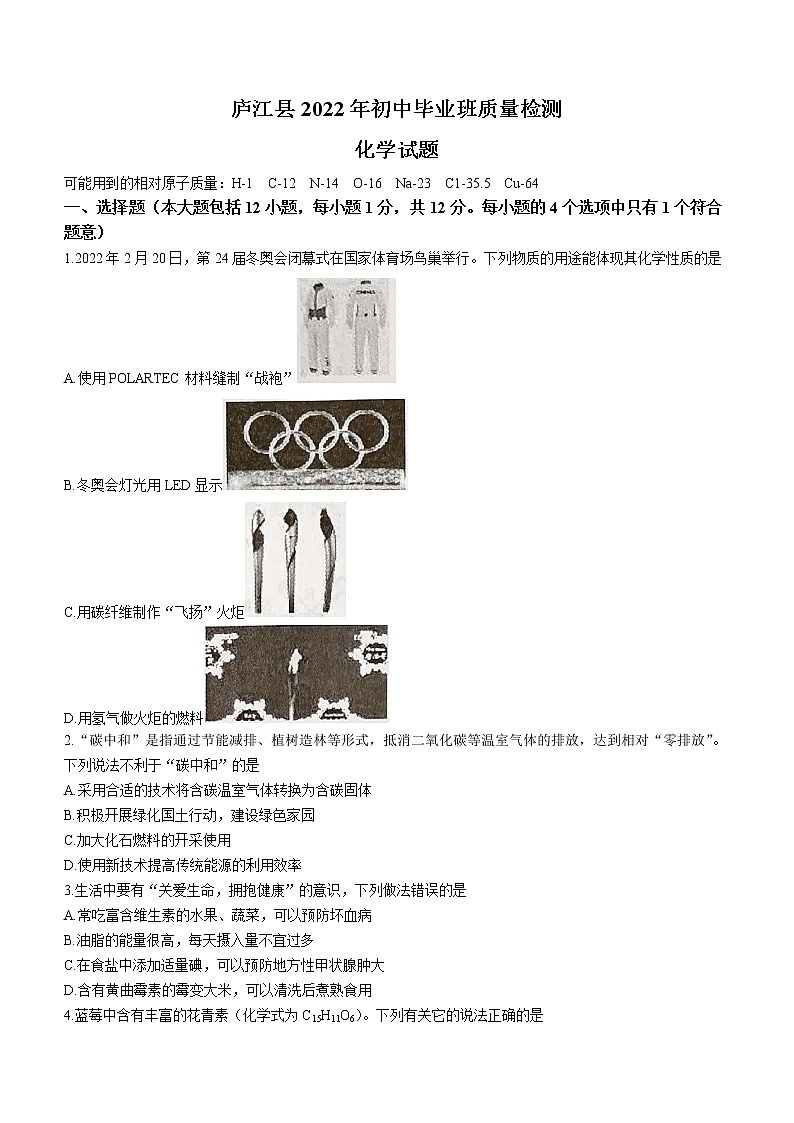 2022年安徽省合肥市庐江县九年级质量检测化学试题(word版无答案)第1页