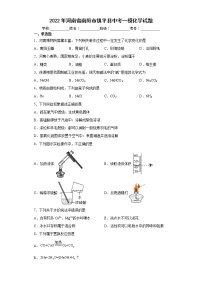 2022年河南省南阳市镇平县中考一模化学试题(word版含答案)