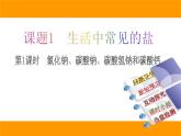 人教版（五四制）九年级化学  4.1 生活中常见的盐 课件