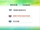 人教版（五四制）九年级化学  2.1 溶液的形成 课件