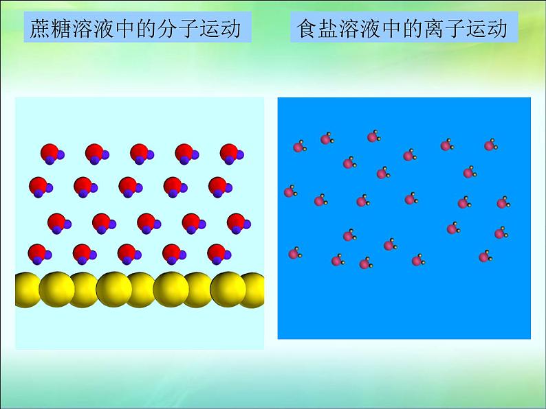 人教版（五四制）九年级化学  2.1 溶液的形成 课件05