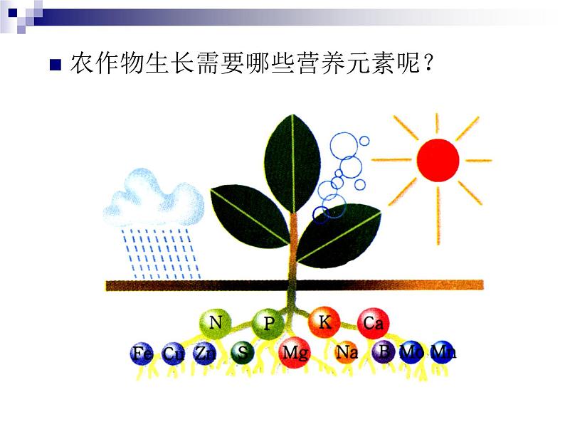 北京课改版九下化学 12.3化学肥料 课件03