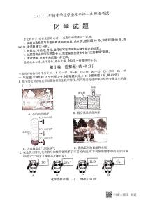 2022年山东省聊城市莘县中考一模化学试题（含答案）