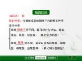 第7章 《幾種重要的鹽》復(fù)習(xí)課件