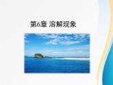 第6章 溶解現(xiàn)象《溶解現(xiàn)象》復(fù)習(xí)課件1