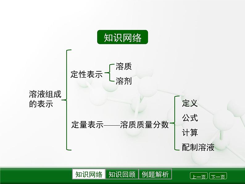 第6章 溶解现象《溶液组成的表示》复习课件第2页