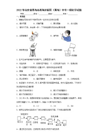 2022年山东省青岛市西海岸新区（黄岛）中考一模化学试题(word版含答案)