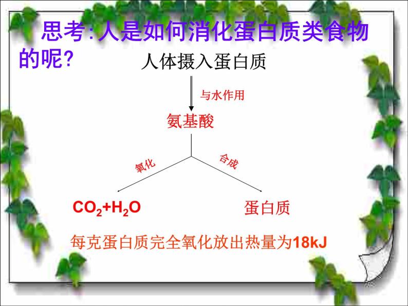 京改版九年级下册化学 13.1食物中的营养物质 课件07