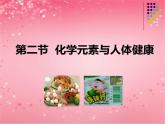 魯教版九年級下冊化學  10.2化學元素與人體健康 課件