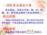 鲁教版九年级下册化学  10.3远离有毒物质 课件