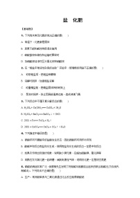 2022年天津市中考化学考点分层训练盐　化肥