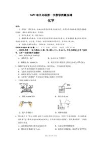 2022年广东省深圳市盐田区中考一模化学试题