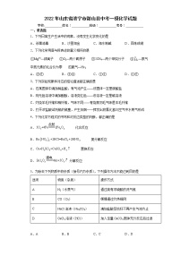 2022年山东省济宁市微山县中考一模化学试题(word版含答案)