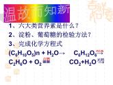 沪教版九下化学 8.3蛋白质 维生素 课件