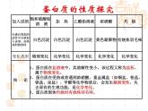 沪教版九下化学 8.3蛋白质 维生素 课件