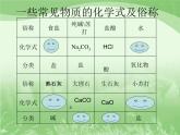 人教版（五四制）九年级化学  4.1 生活中常见的盐 课件