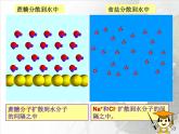 人教版（五四制）九年级化学  2.1 溶液的形成 课件