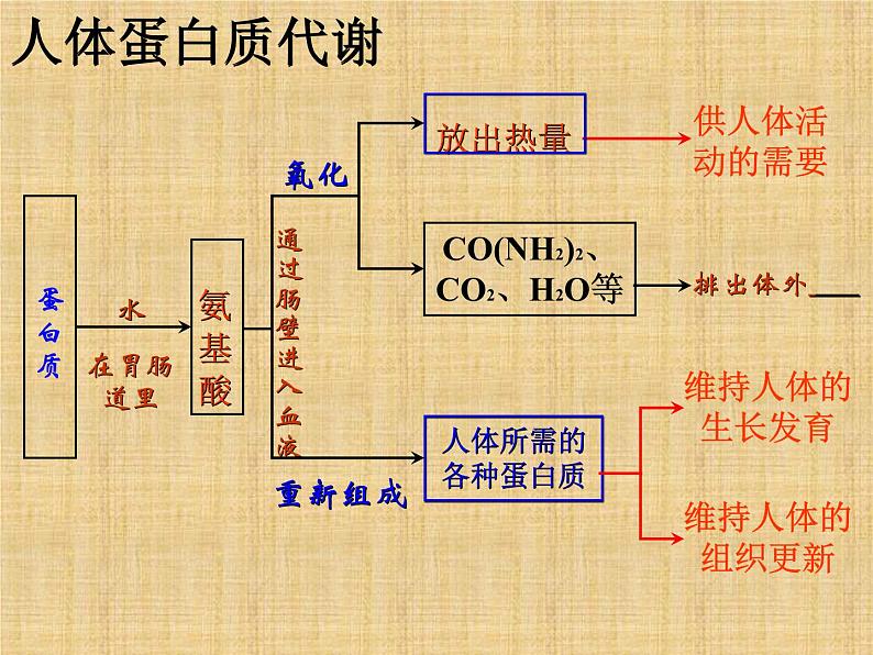 京改版九年级下册化学 13.1食物中的营养物质 课件第7页