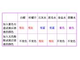 鲁教版九年级下册化学 7.3溶液的酸碱性 课件