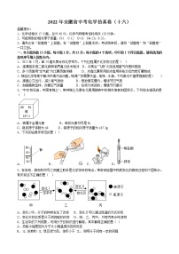 2022年安徽省中考化学仿真卷（十六）(word版含答案)