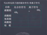 中考化学用语 专题复习课件PPT