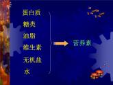 北京课改版九下化学 13.1食物中的营养物质 课件