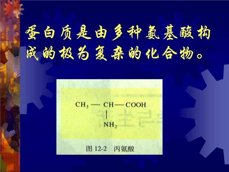 北京课改版九下化学 13.1食物中的营养物质 课件08