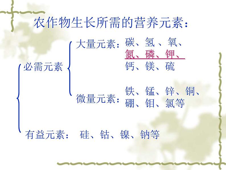 科粤版九下化学 8.5化学肥料 课件第5页