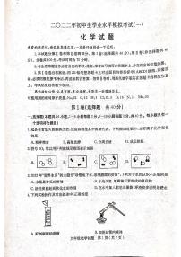 2022年山东省聊城冠县一模化学试题